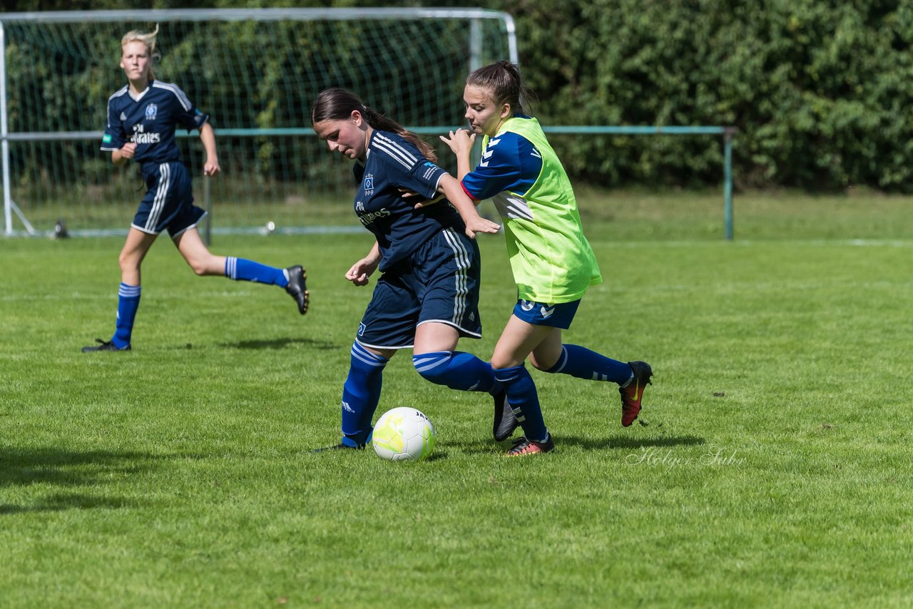 Bild 220 - B-Juniorinnen VfL Pinneberg - HSV : Ergebnis: 1:4